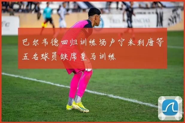 巴尔韦德回归训练场卢宁米利唐等五名球员缺席皇马训练